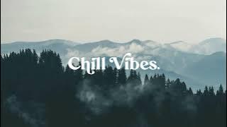 Trinix - She Said (Big Jet Plane)