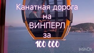 Винперл за 100 донгов. Это реально.