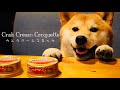 【柴犬と晩酌】カニクリームコロッケを作る の動画、YouTube動画。