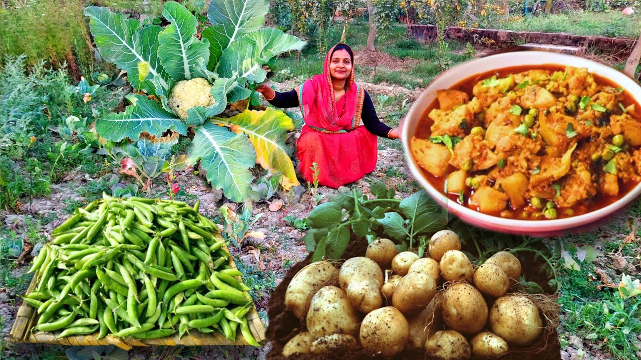 खेत के ताजे मटर गोभी और आलू से बनाई ऐसी रसेदार 😋स्वादिस्ट सब्जी जो थाली में मिल जाये तो बात बन जाये