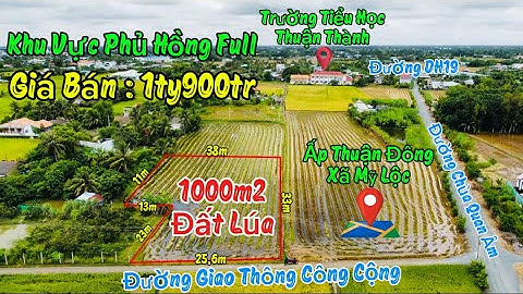 Đất Lúa View Siêu Đẹp Kế Bên Trường Tiểu Học Đương Xe Tải Chuyển Thổ Tự Do