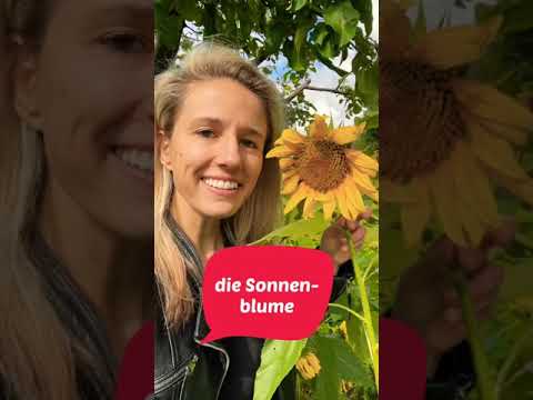 Video: Wie heißen die Adern einer Blume?