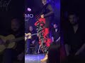 Flamenco , Madrid España 2022