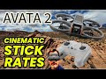 AVATA 2 Controller 3 Stick Rates - What Style You Fly is Important