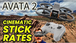 AVATA 2 Controller 3 Stick Rates - What Style You Fly is Important