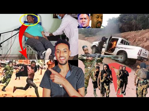Oduu Ariifachiisa Wbon Konkolata Diina Barbadesu Fi Tplf Bank Daldala Ethio Same Shimen Mal Ta E 
