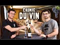  chimie du vin 