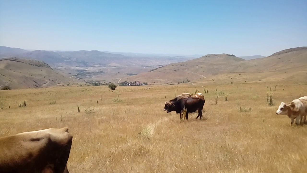Malatya taşoluk köyü