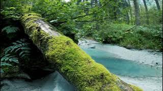 'Relax' - Smooth Trap Soul Hip Hop Beat Chill Instrumental