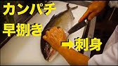 間八 かんぱち のさばき方 How To Filet Greater Amberjack 日本さばけるプロジェクト Youtube