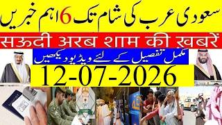 Work Visa New Conditions 2026 | ورک ویزا پر بیرون ملک جانے والوں کے لیے نئی شرائط کیا ہیں؟ | INFO TV screenshot 4