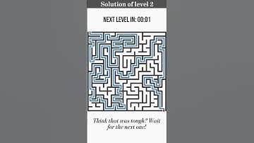 Can You Solve These 3 Maze Puzzles? 🧠⚡️ #BrainGame