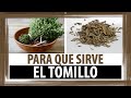 PARA QUE SIRVE EL TOMILLO | BENEFICIOS DEL TOMILLO