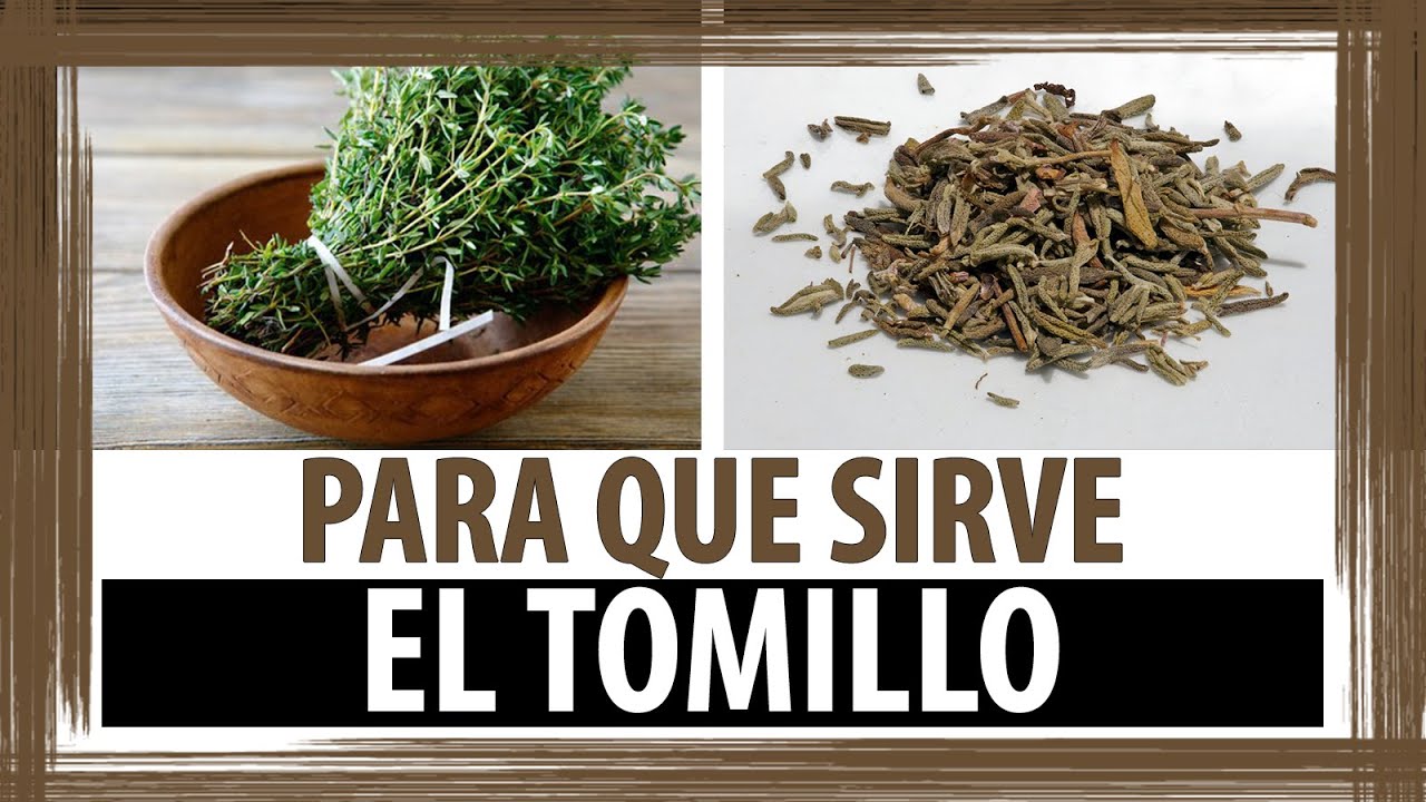 Infusión de tomillo para que sirve