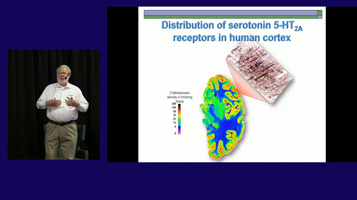 David Nichols, PhD: Psychedelic Neuroscience: LSD ...