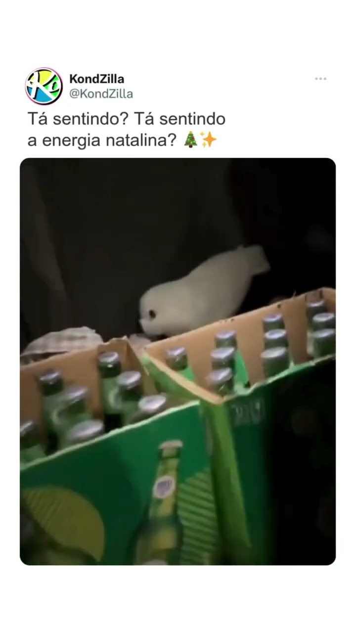Tá sentindo aí? A energia? ??✨