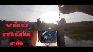 Chia sẽ bãi rê cá lóc đẹp,bãi nào cũng có cá tại sông ray,@tuấn sông ra#câuđai #lure#caucathaclac