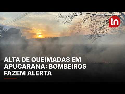 Corpo de Bombeiros alerta para alta de queimadas em Apucarana