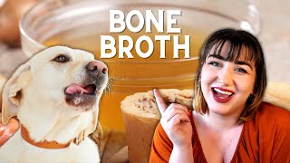 Why You Should Add Bone Broth To Your Pet's Diet | Joint Support, Gut Health, and Immune Health