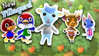 How to get more Villagers in Animal Crossing: New Horizons