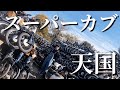 スーパーカブ天国で運命の一台を探すEP1