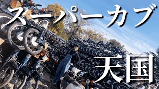 今だけ値引き②！スーパーカブ 希少　田んぼツーリング　昭和の農民車　検索；カモメカブ　3輪車　ケッテンクラート　ミゼット　旧車　水陸両用車　カブヌシ 今だけ値引き②！スーパーカブ 希少田んぼツーリング昭和の農民車検索