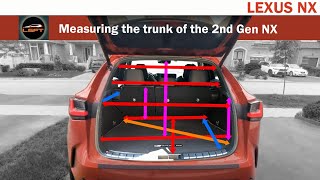 Is the 2022-2026 Lexus NX Trunk Big Enough? Let's Measure!