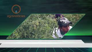 TITULARES AGRONOTICIAS PROGRAMA 421