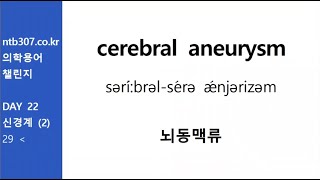 의학용어 신경계 5분복습듣기