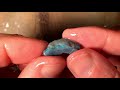 Watch Live The Birth Of Opal
