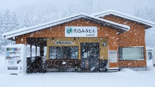 石川）大雪でも常連客がやってくるポツンと味噌煮込みうどん屋の圧倒的こだわり丨JAPANESE FOOD
