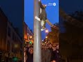 Street Cat vs Pole