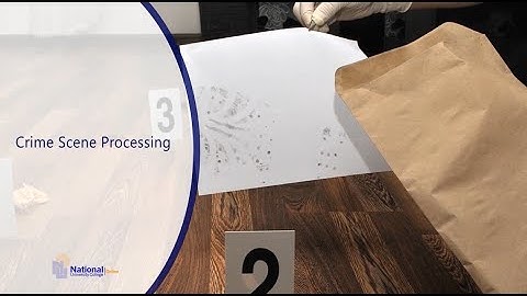 Crime Scene Processing