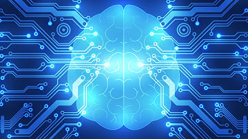 Tomaso Poggio: 2011 Allen Institute for Brain Science Symposium