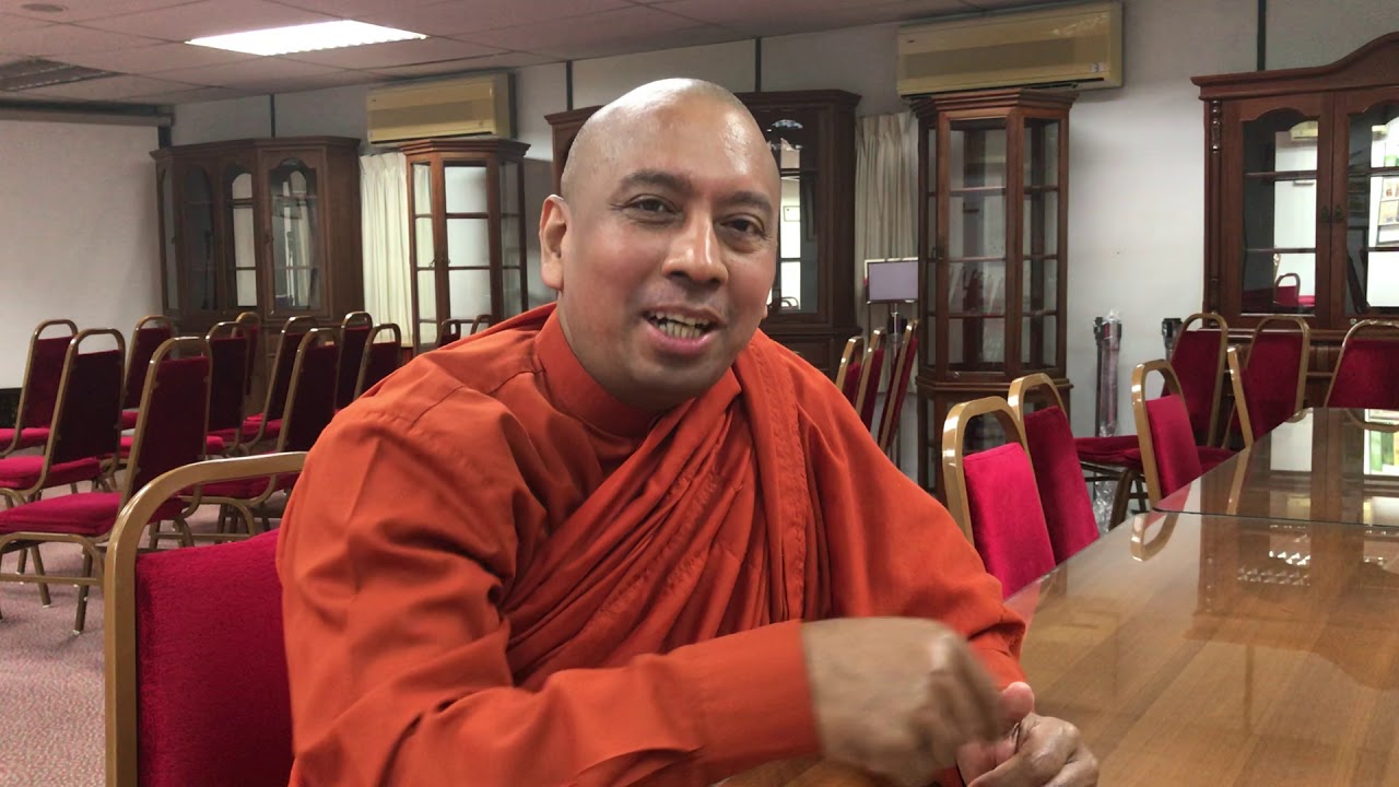 Mr Fox And Mr Turtle: A Tale Of Mindfulness