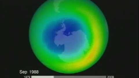 Lecture 12. Ecology and the Environment (Biology 1B, Fall 2010, UC Berkeley)