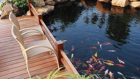 Tiểu cảnh cầu thang hòn non bộ đẹp hồ cá koi