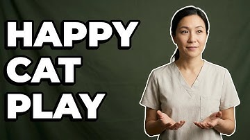 What Are Essential Toys for Cat Enrichment?