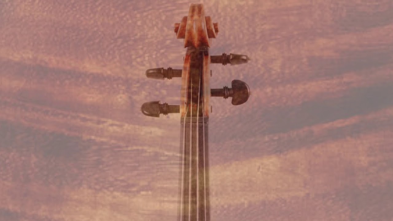 The Violin Shop Violins 20,000 25,000 YouTube