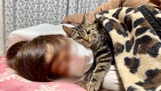朝早いのに飼い主の布団に潜り込んで起こしにきてしまった子猫w
