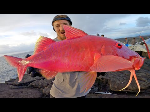 Volcano Fishing a Rare Catch