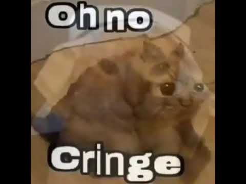oh no cringe but its india song - YouTube