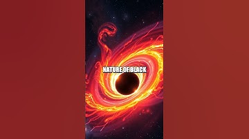 The Curious Case of Black Hole Accretion Disks