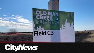 Edmonton cuts produce farm program for food bank amid financial crunch