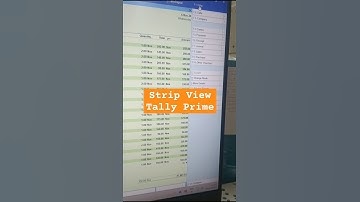 Tally Prime Stripe View Demo: A Must-Know Feature in Tally Prime 5.0! Part 1