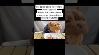 Жызик? #Рофл #Shorts #Meme #Memes #Memas #Мем #Мемы #Врек #Врекомендации #Мемасик #Ржака #Мемасики