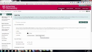 How to link to the Blackboard Content Collection from a module