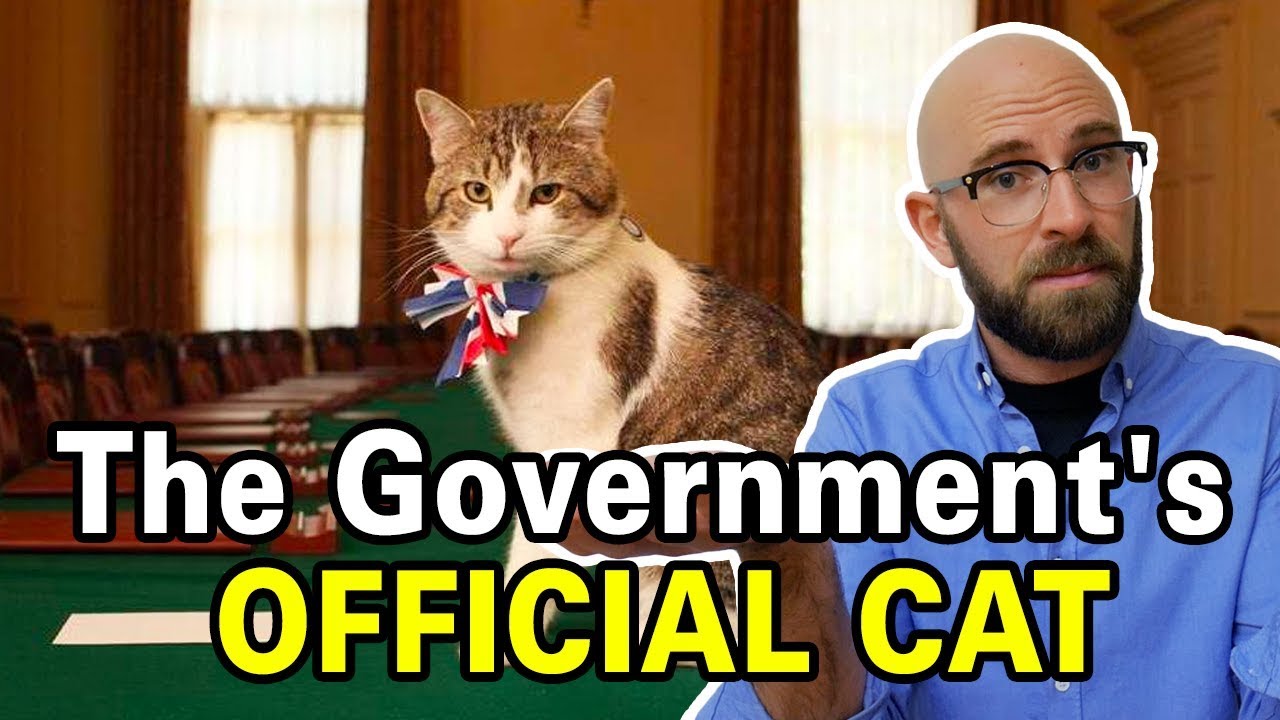 The Curious Case of the Chief Mouser