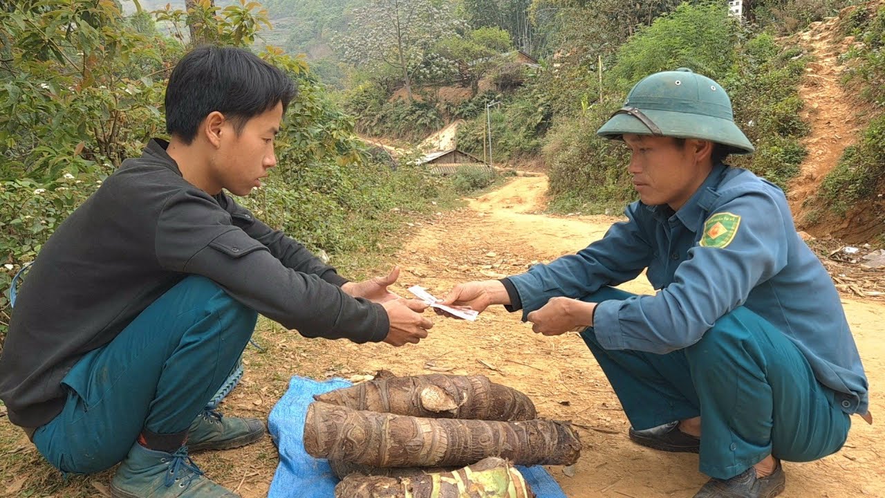 Living Alone in the Mountains | Harvesting Wild Mountain Mint | Simple Village Life