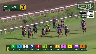 Vidéo de la course PMU PRIX SIMPLE AMISTAD